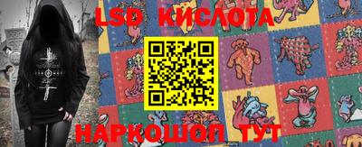 прущие крисы Кингисепп