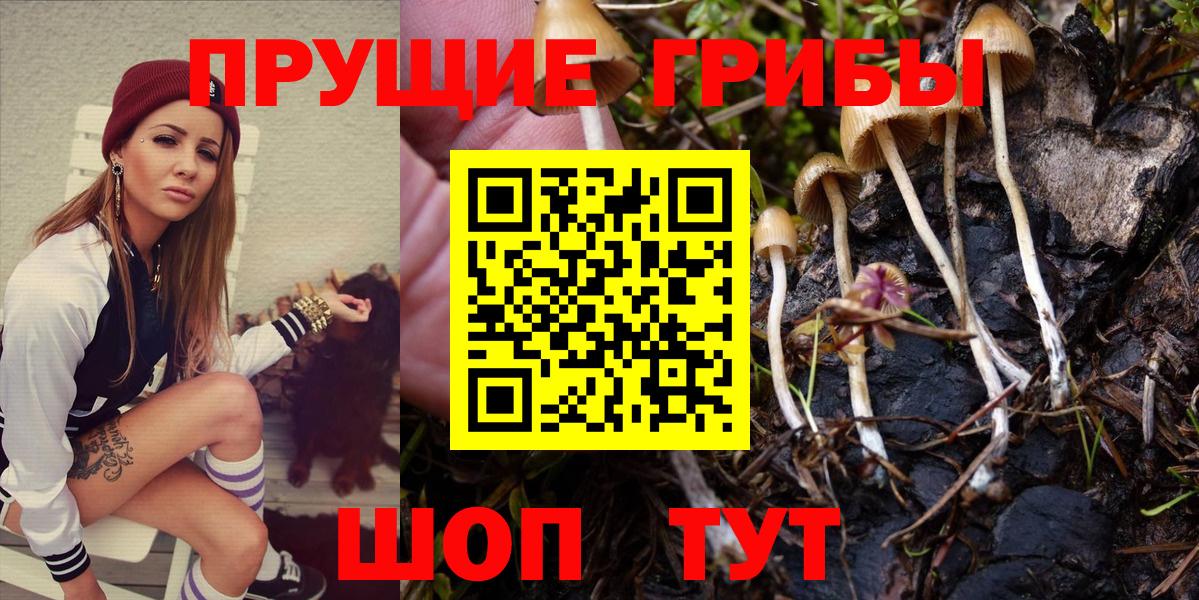 Псилоцибиновые грибы мухоморы  Вход с VPN  Кувандык 