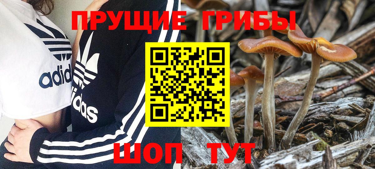 Галлюциногенные грибы мицелий Кувандык
